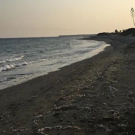Mazotos Hills Βίλα Kofinou